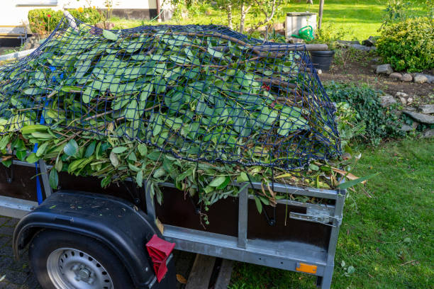 Best Yard Waste Removal  in Newark, DE